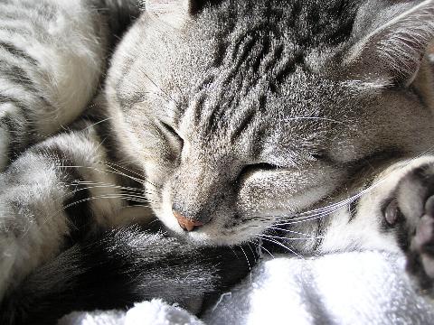 �I���T�}����