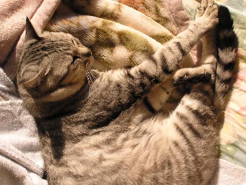 �I���T�}����