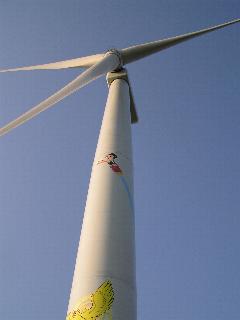 ��F�̕���