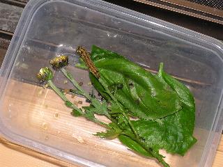 �𒎎����Ă܂�