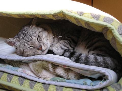 �I���T�}����