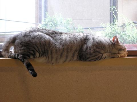 �I���T�}����