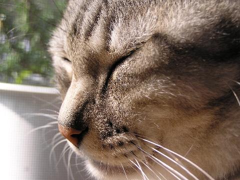 �I���T�}����