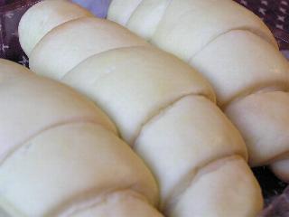 ���[���������p��