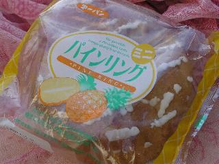 �p�C�������O